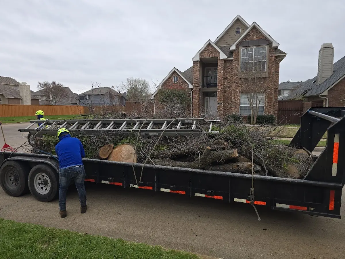 Expert Tree Fertilization with proper safety equipment in Reynolds